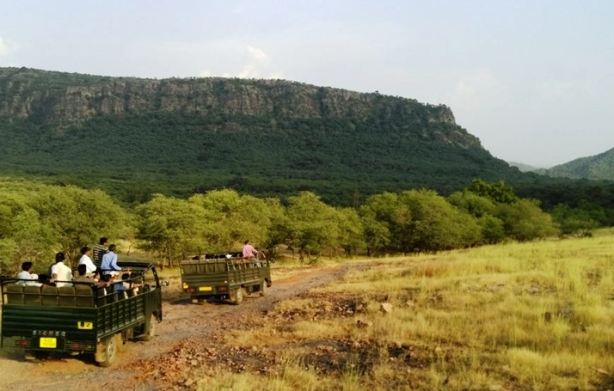 RANTHAMBORE TOUR